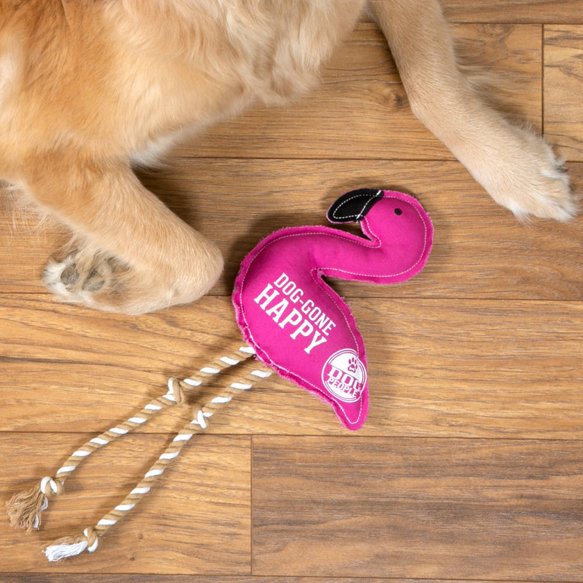 Dog-Gone Happy Canvas Dog Toy on Rope