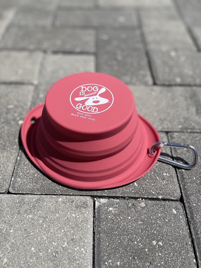 Collapsible Water Bowl
