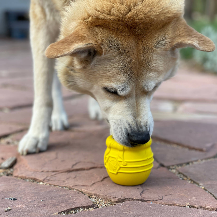 SP Large Honey Pot Durable Rubber Treat Dispenser & Enrichment