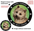 Cairn Terrier My Best Friend Circular Magnet