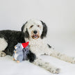 Christmas Squirrel Plush Furry Tail Large Dog Toy