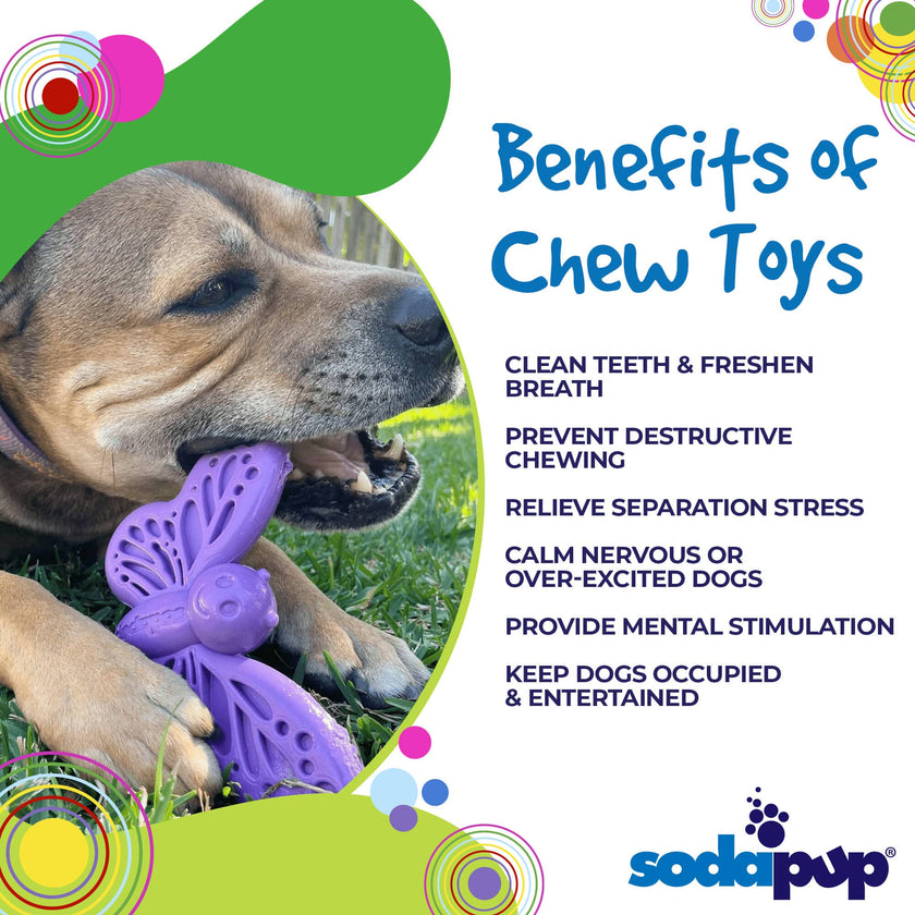 SP Butterfly Nylon Chew & Enrichment Dog Toy