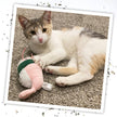 Meowijuana Get Wrapped Sushi Roll Cat Toy