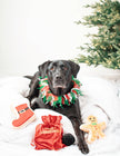 Christmas Jingle Bells Decorative Dog Collar