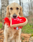 Valentine's Red Heart Love Sugar Cookie