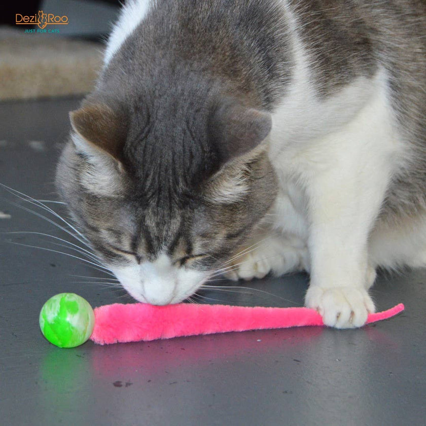 Wiggly Ball Solid Marbled Cat Toy Bouncy Ball