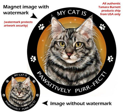 Maine Coon Silver Cat My Best Friend Circular Magnet