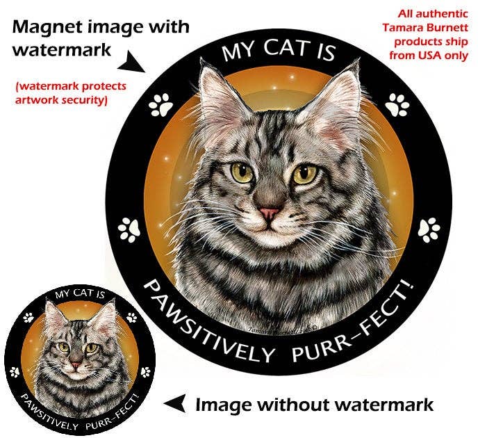 Maine Coon Silver Cat My Best Friend Circular Magnet