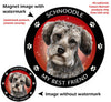 Schnoodle Grey My Best Friend Circular Magnet