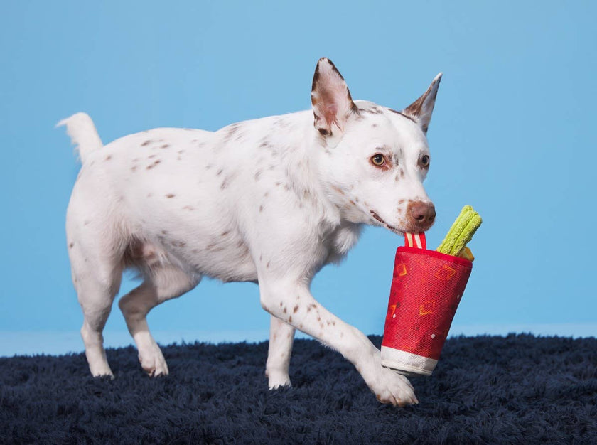 BARK Mutty Mary Dog Toy