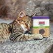 KONG® Naturals® Catnip 1 oz