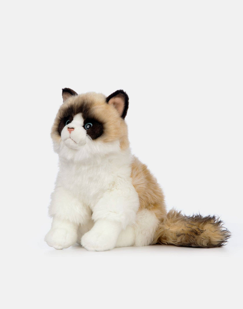 Living Nature Ragdoll Cat
