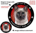 Siamese Blue Point Cat My Best Friend Circular Magnet