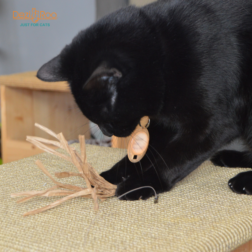 Cat Toy Cuttlefish Wand Attachment Replacement