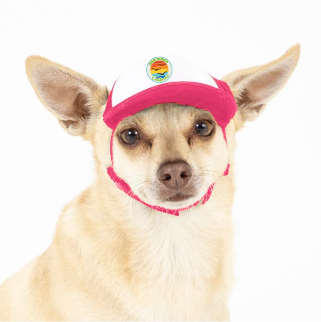 Trucker Hat for Dogs/Cats- Seagull