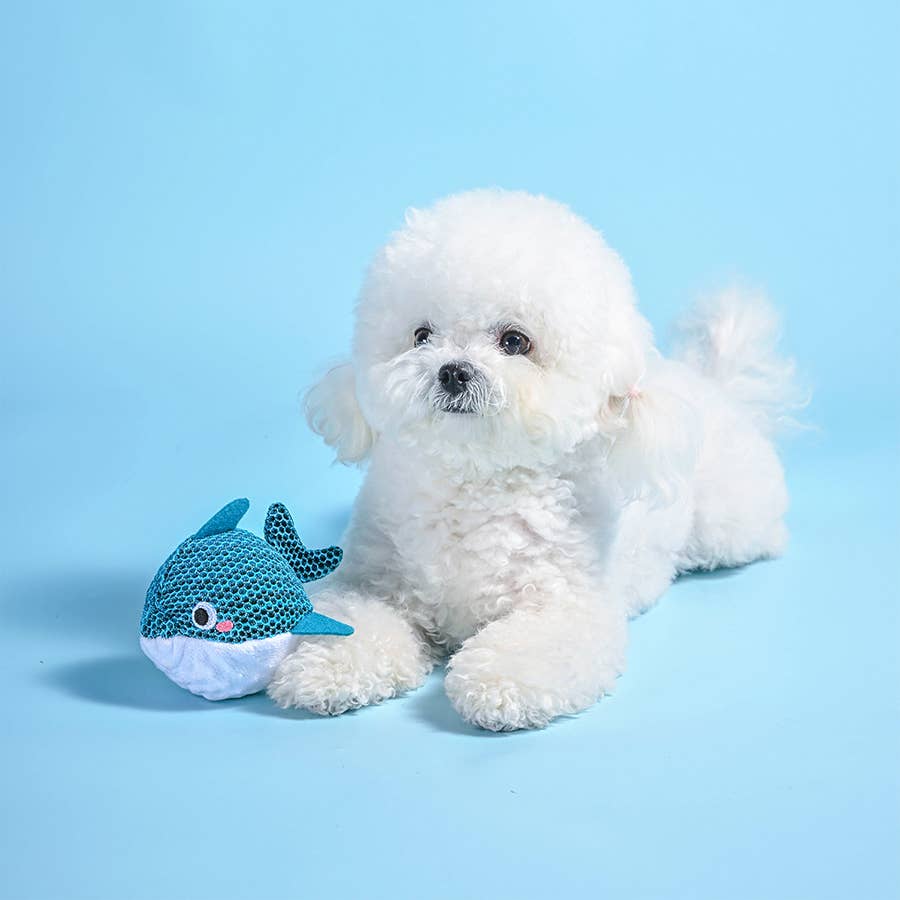 Dog Toy Dolphin Floating Dog Ball Water Toy