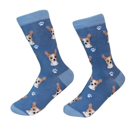 Chihuahua Tan Dog Socks Unisex