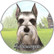 Schnauzer Car Coaster Cropped