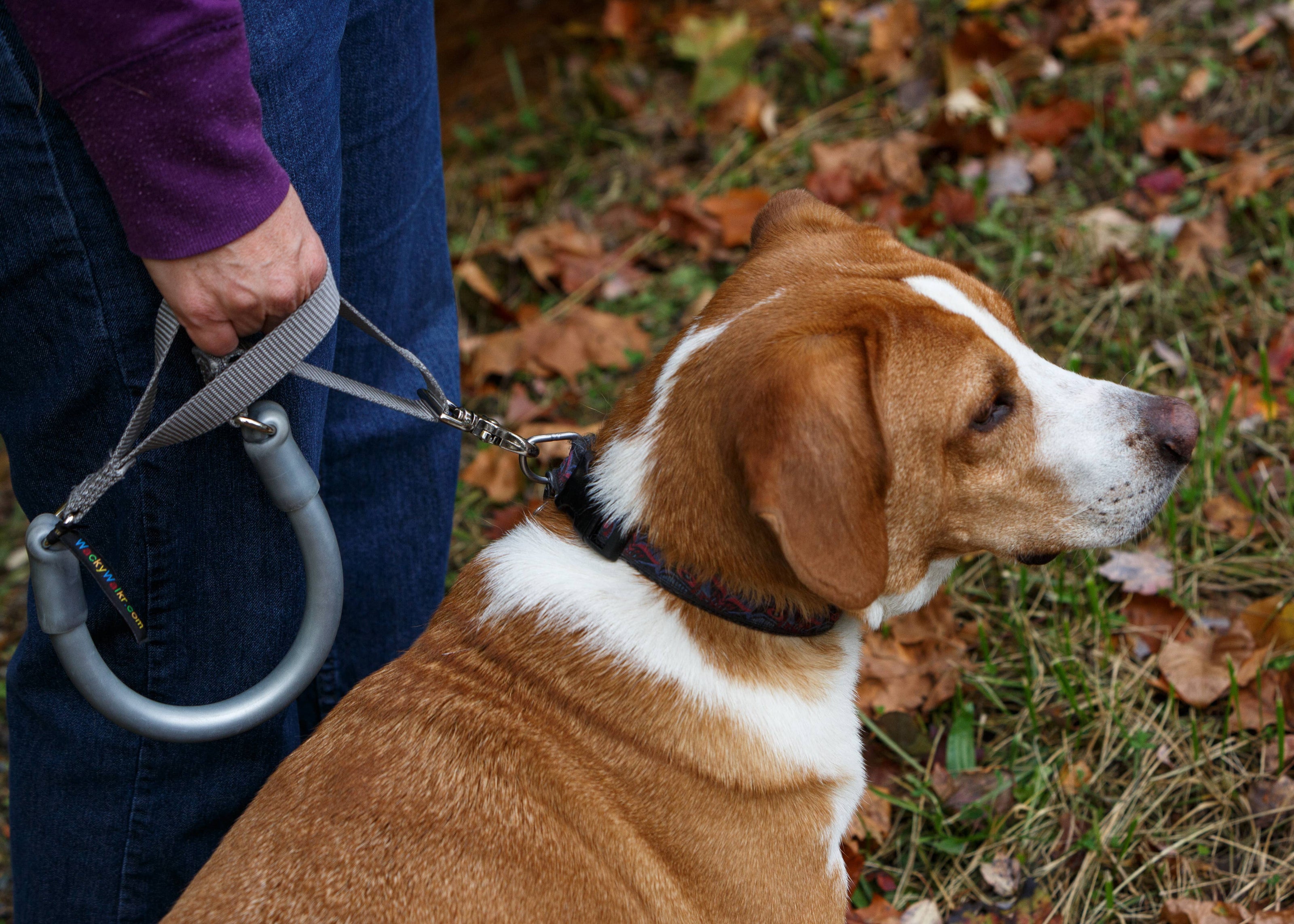 WUNDERLEASH – The No-Pull Leash That Actually Works