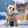 Dog or Cat Angel Wings Costume