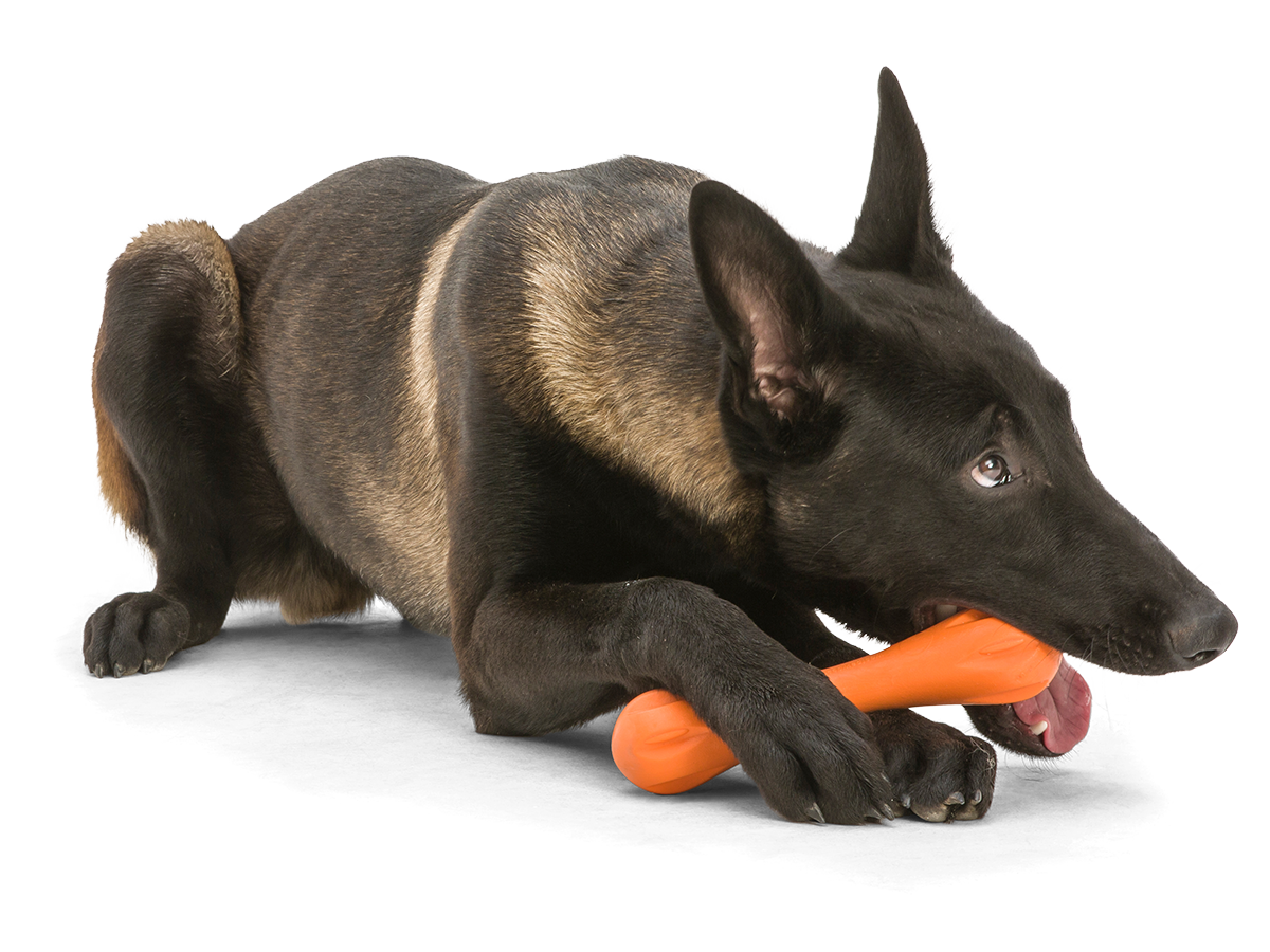 Hurley® Dog Toy for Chew, and Fetch