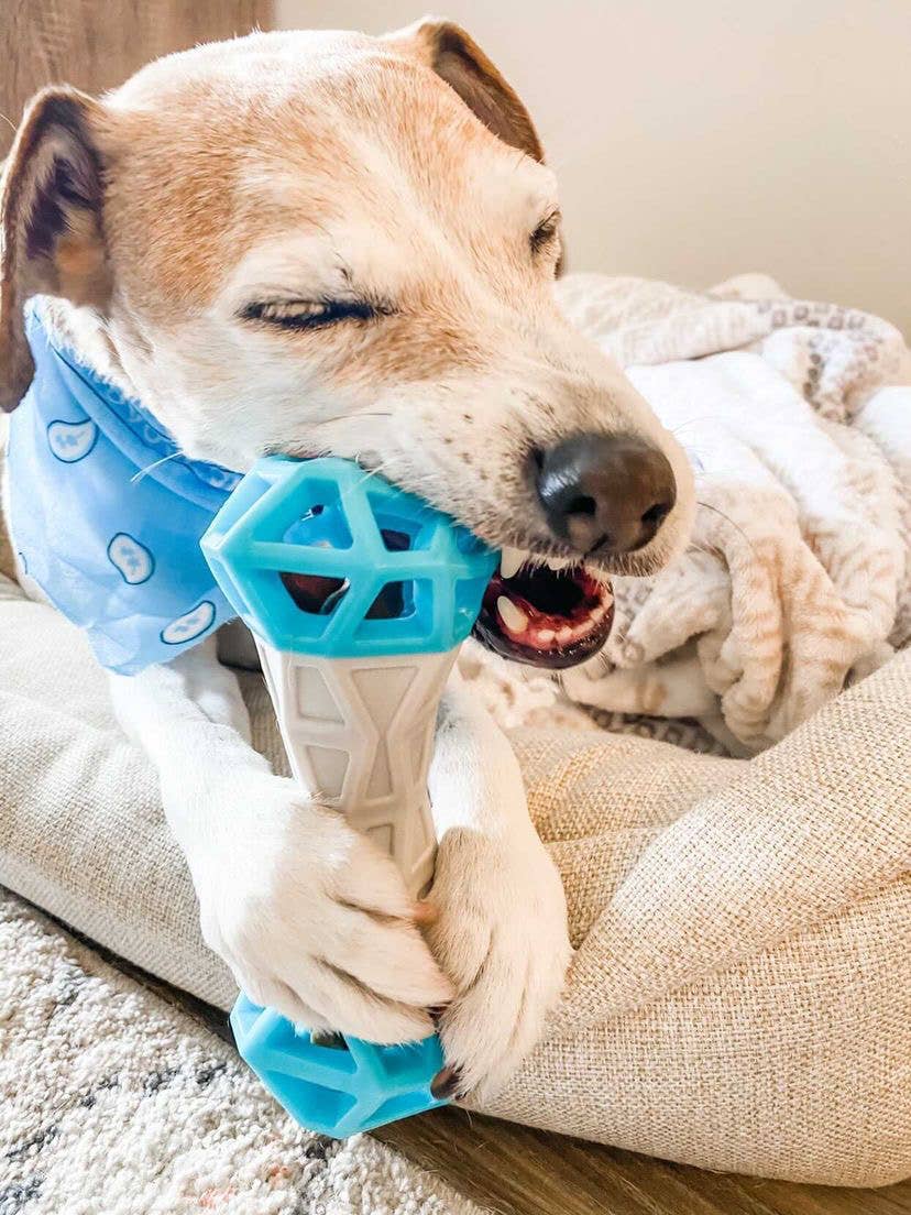 Totally Pooched Flex n' Squeak Toy Foam Rubber Grey/Teal