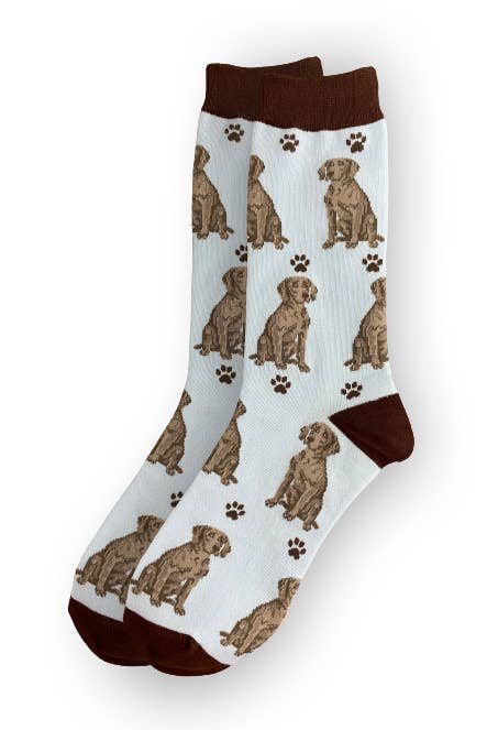 Weimaraner Socks - Fun Novelty Dog Socks - Unisex