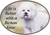 Bichon Frise - Life is Better Oval Magnet