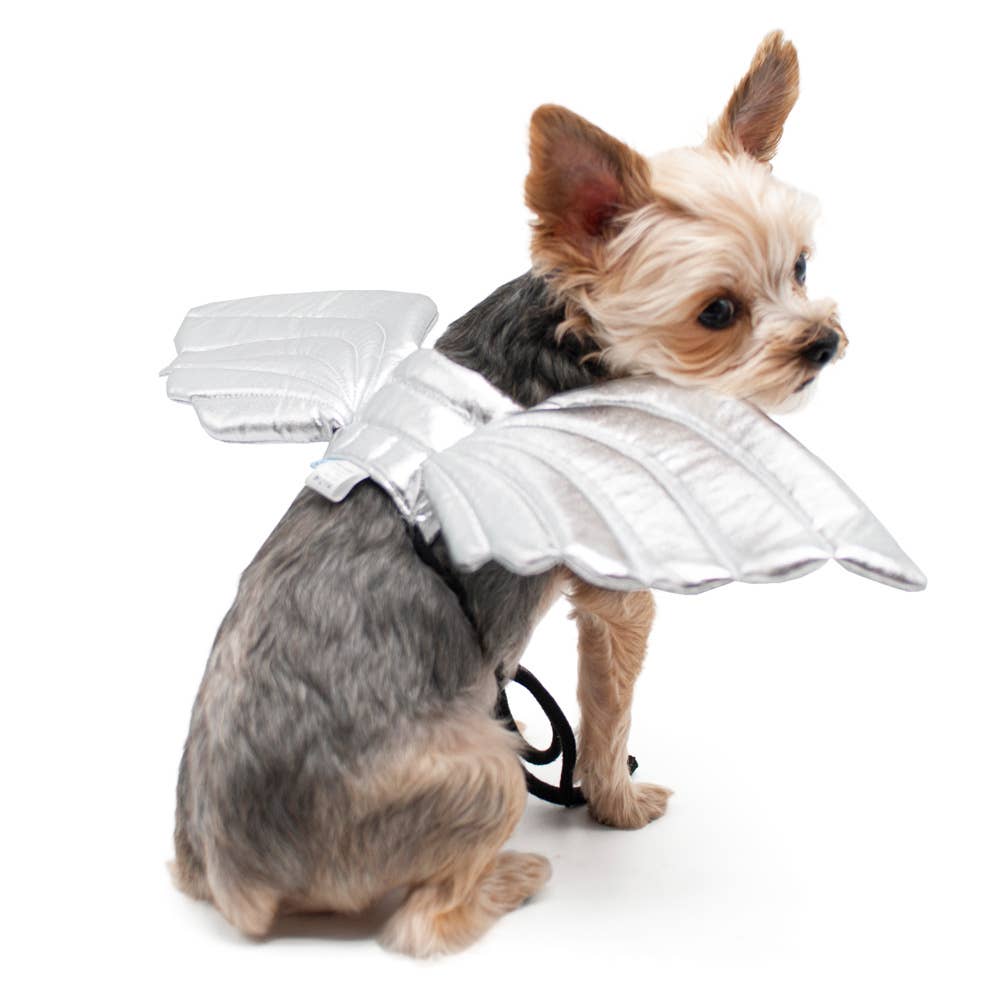 Dog or Cat Angel Wings Costume