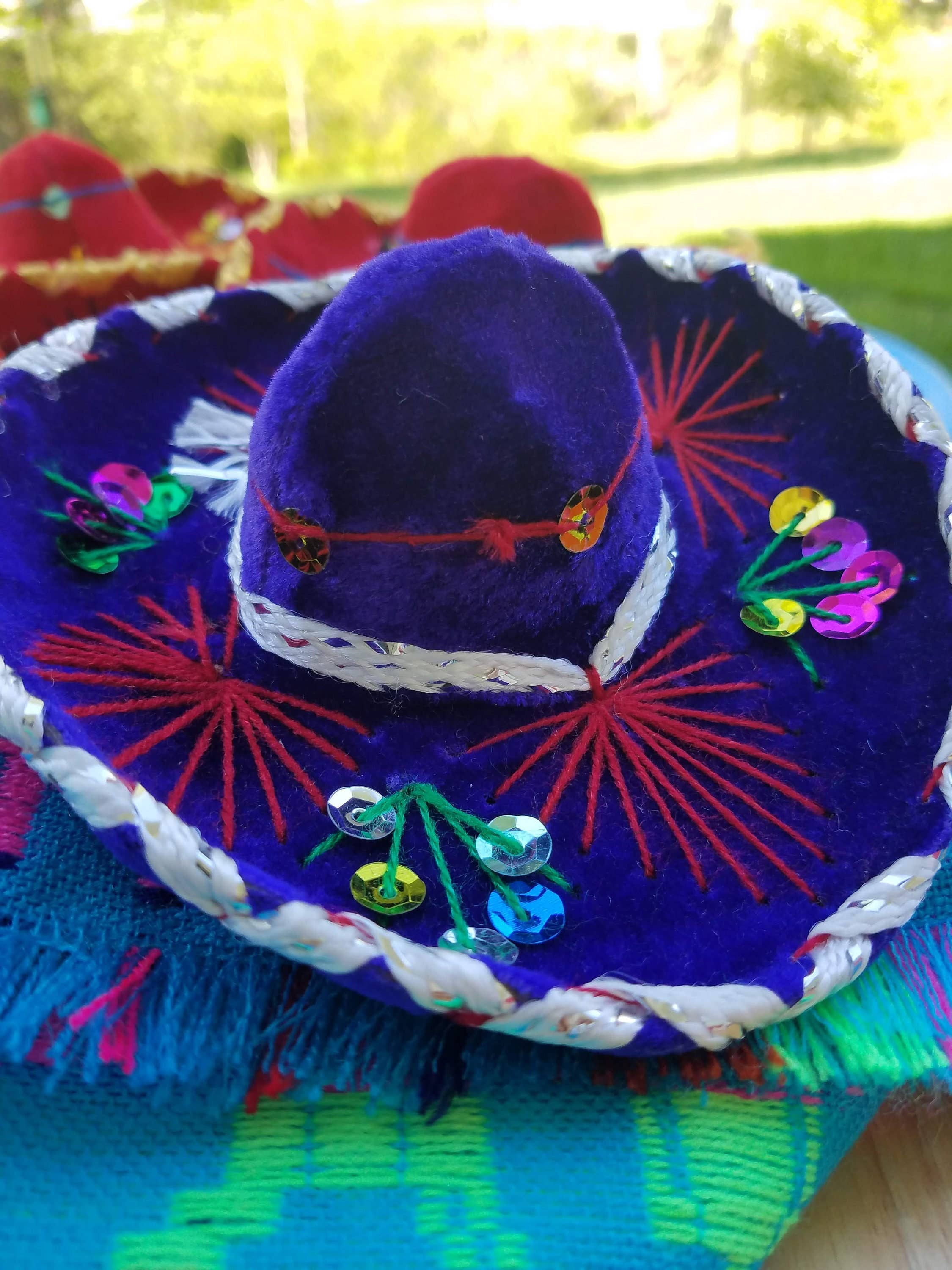 Hat For Cat or Dog Mariachi Hat
