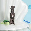 Dog Toy Sea Turtle Green Dog Plush Rope Toy