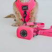 Dog Waste Bag Holder Neon Pink With Clasp
