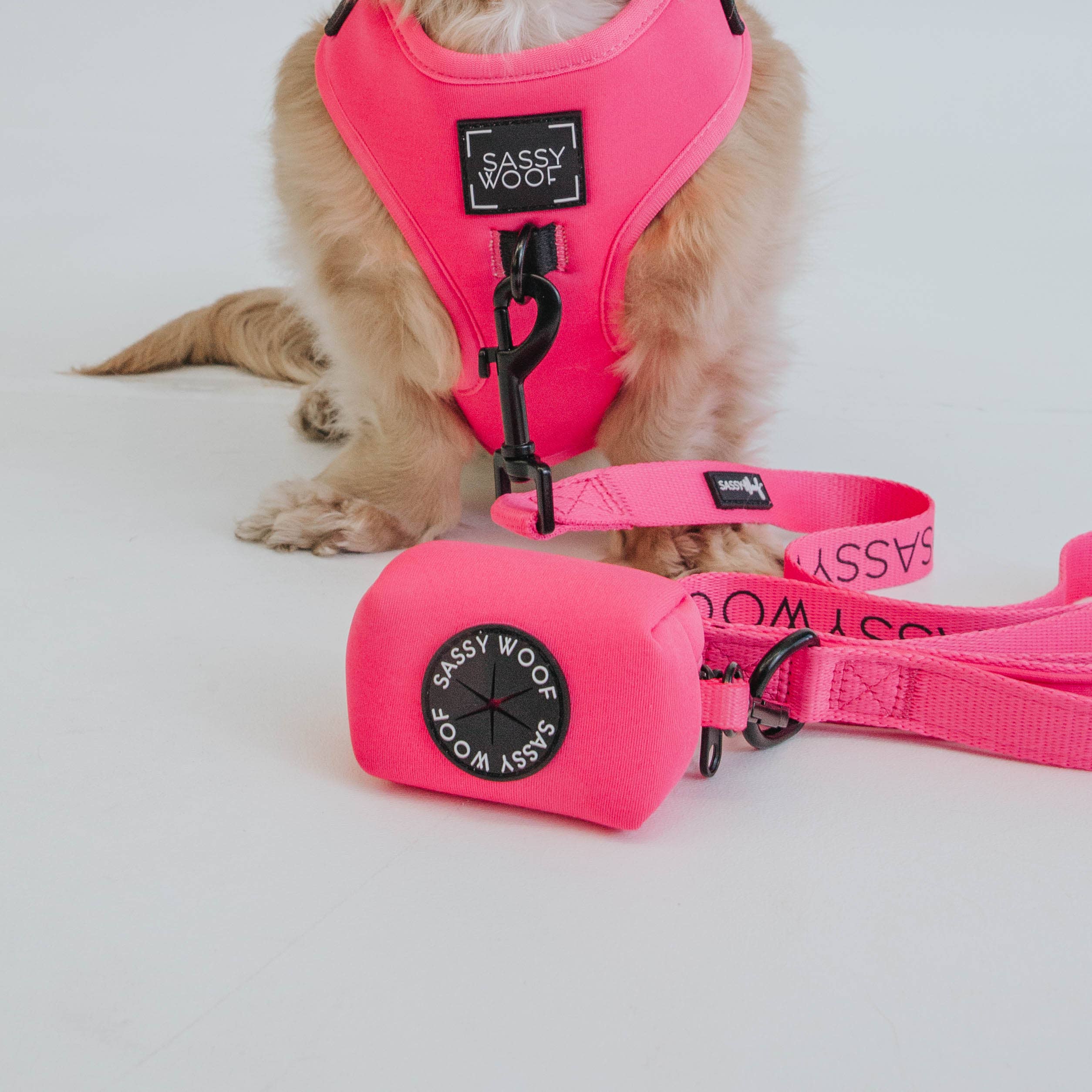 Dog Waste Bag Holder Neon Pink With Clasp