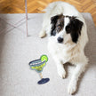 My Dog Is Salty Canvas Dog Toy on Rope