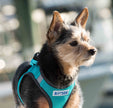 Reflective Lightweight Breathable Step in Dog Harness