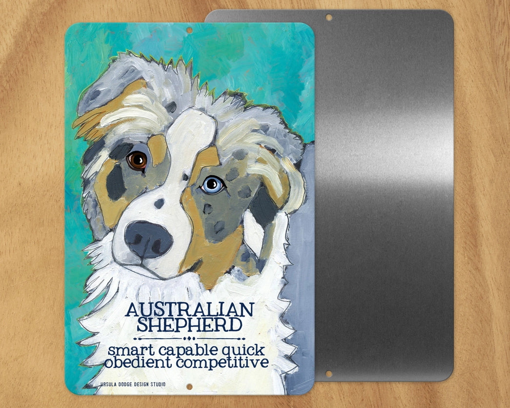 Australian Shepherd (Blue Merle) -UD Metal Sign