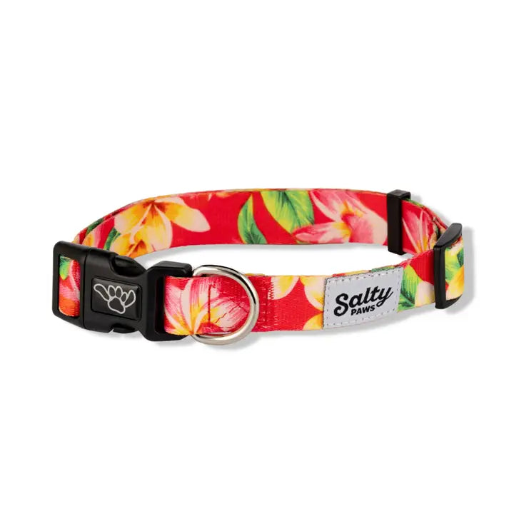 Tropical Dog Collar Pink Floral Print Dog Collar