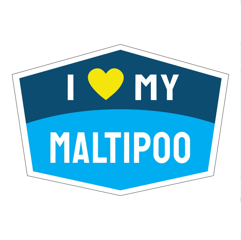 I Love My Maltipoo Hexagon Shaped Magnet