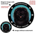 Pomeranian Black My Best Friend Circular Magnet