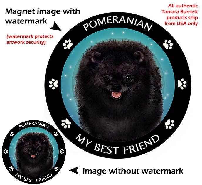 Pomeranian Black My Best Friend Circular Magnet