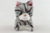 ZOE the Silver Tabby Walking Cat Toy