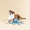 PetShop by Fringe Studio Long Time No Sea Dog Toy