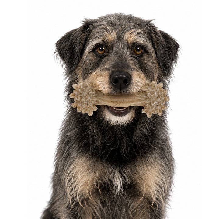 Daisy Bone Nylon Dog Toy for Aggressive Chewers