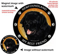 Newfoundland My Best Friend Circular Magnet