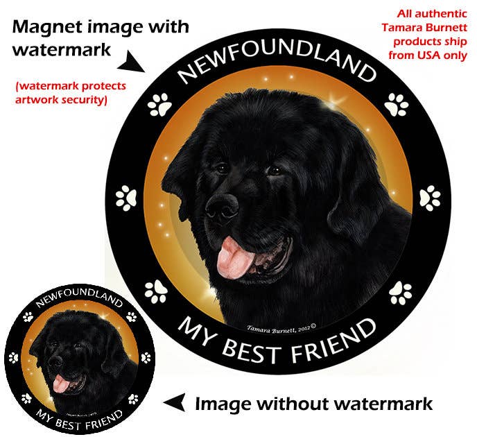 Newfoundland My Best Friend Circular Magnet