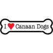 Canaan Dog - Bone Shaped Magnet