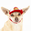 Trucker Hat for Dogs/Cats: Island sunset Red / Tiny