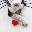 Valentine's Plush Red Heart Valentine's Day Dog Toy