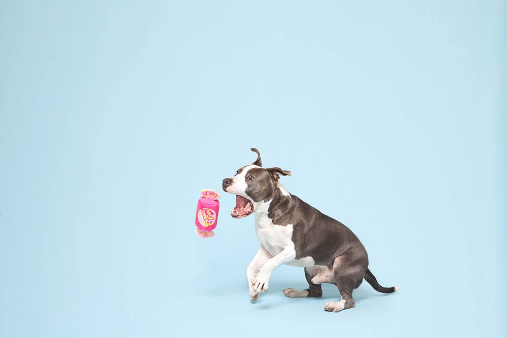 BARK Bubble Gum Dog Toy