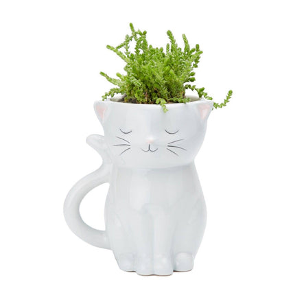 Sweetie Cat Planter Features: Planter contains a drainage hole Material: Ceramic Packaging: Color Box